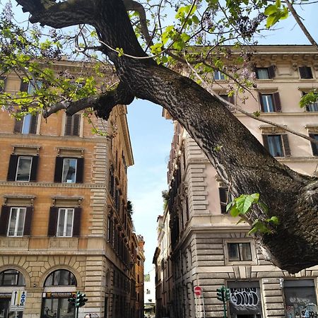 Vatican Near Sweet Home Terrace Roma Exterior foto